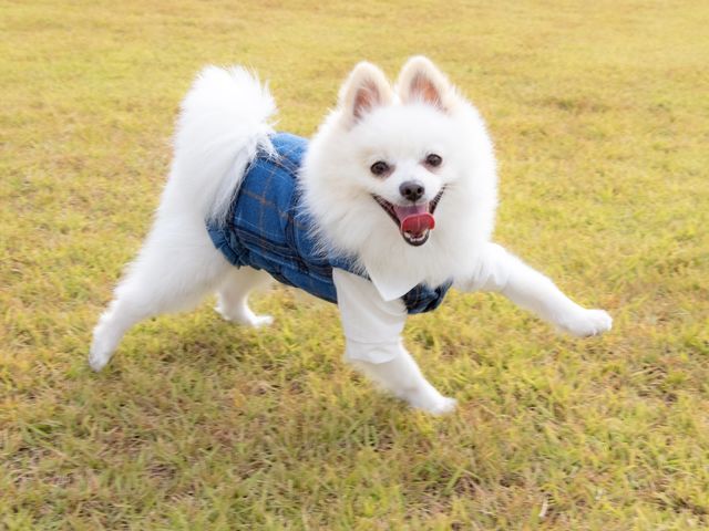 hbNŃ̂т̂щ߂܂(JtF̂płgp܂B)_܂Ȃt@[