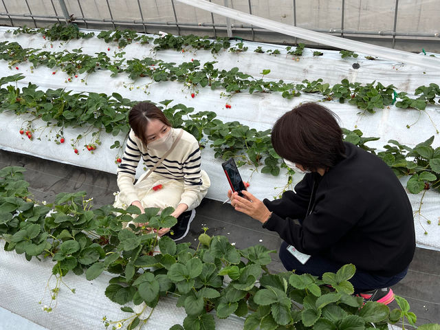 �A�i�E���T�[�̒��z���Ȃ���I���l�ł��ˁ`_�J�S���}���V�F���������_��