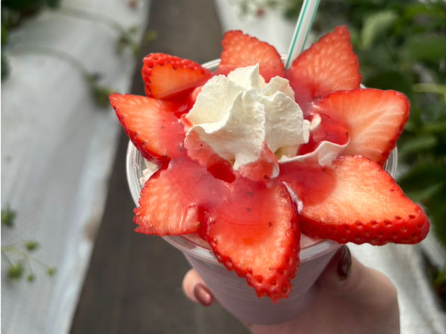 �J�S���}���V�F���������_��
