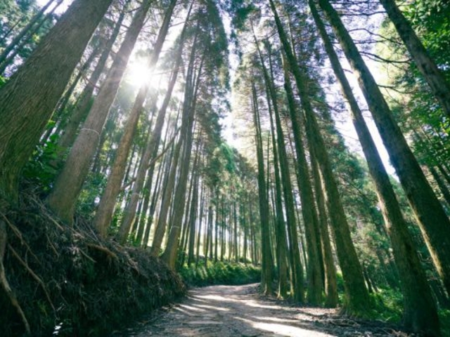 �R����o���āA�N�͂��ǂ蒅���邩�ȁH_�V��̂���������ʐ^�� �܂邩����