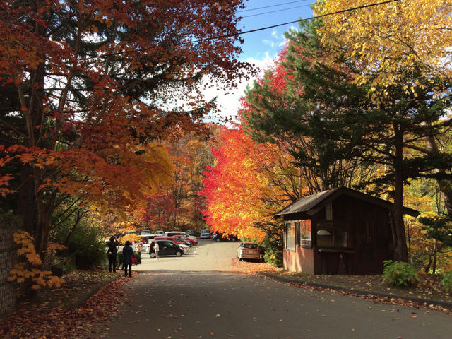 �g�N����