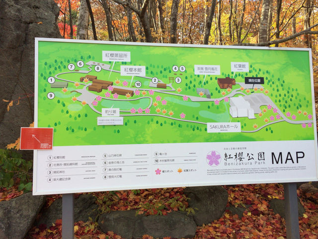 �g�N����