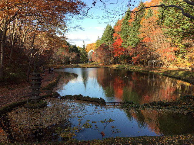 �g�N����