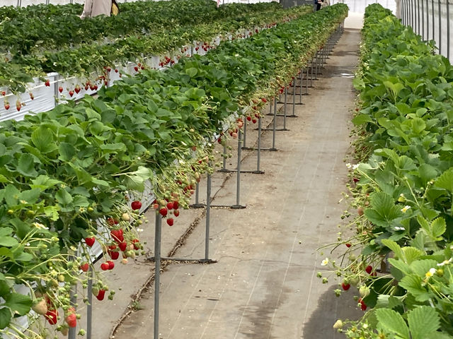 2026.3.3._��傤����