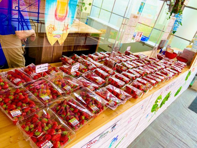 ���R�t�@�[���g�`�m�x�t