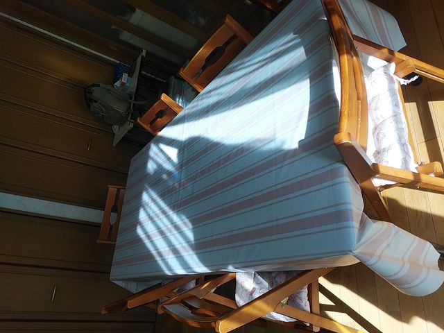 SweetWater���͂�