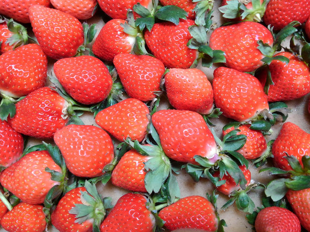 �ނ炢����