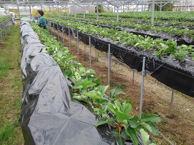 �ނ炢����