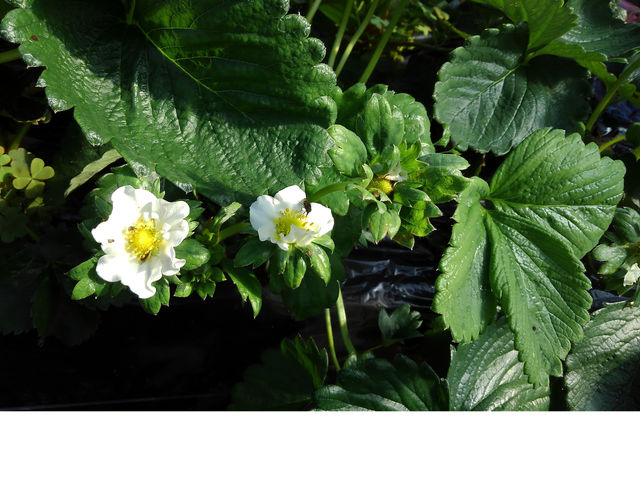 �ނ炢����