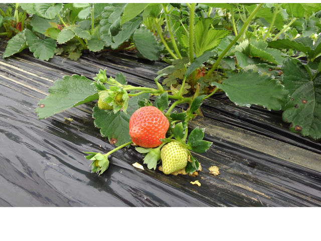 �ނ炢����