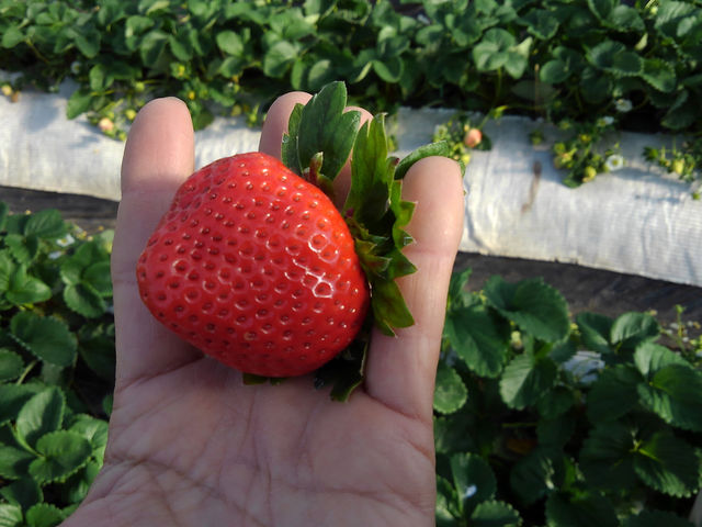 �ނ炢����