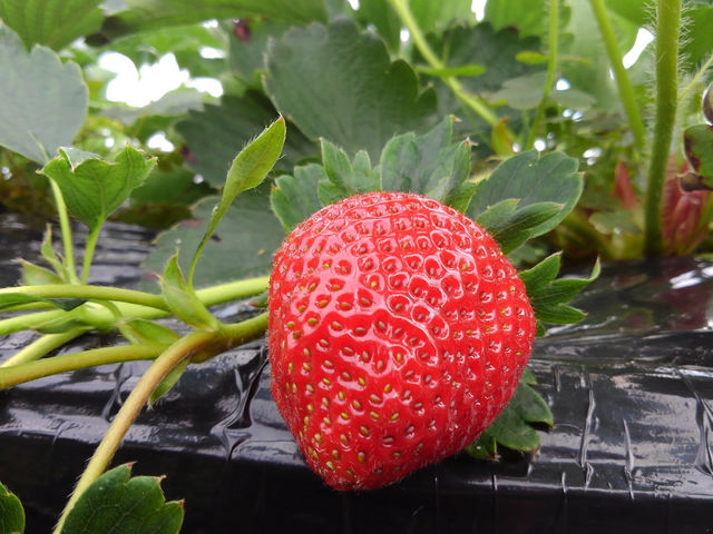 �ނ炢����