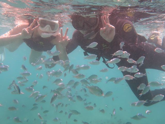 �����Ɉ͂܂��H�C���͂����V���I_Okinawan sup