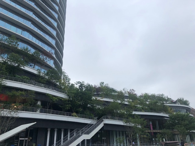 �T�N���}�`�N�}���g