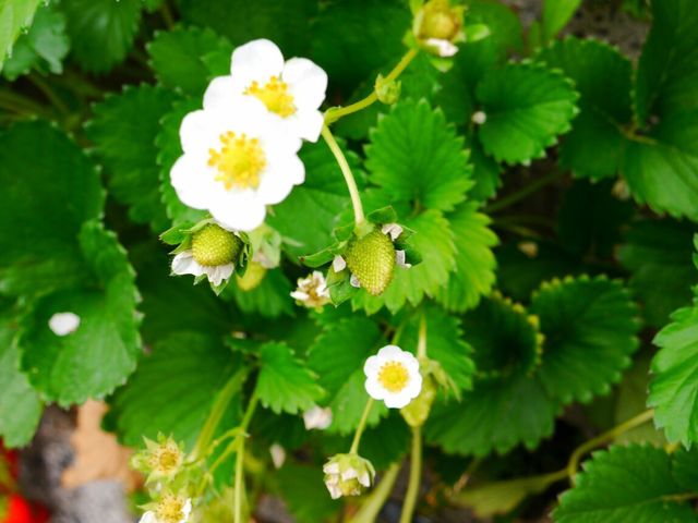 ������_������������