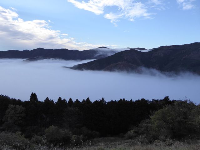 ��X�̃G���A�ł͂���ȉ_�C�ɏo��邱�Ƃ�����܂���I�I_�Ƃ�����p���O���C�_�[�X�N�[��