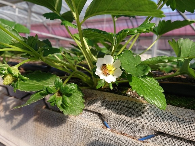 ���c�_��