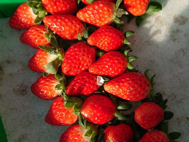 ���c�_��