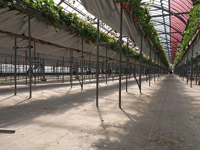 ���c�_��