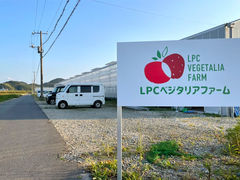 LPCxW^At@[̎ʐ^1
