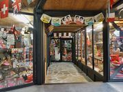 �l�g�_�镶���̐X�̎ʐ^2