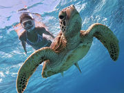 {Ó@}KCh@l@-񂿂-̎ʐ^2