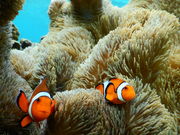 {Ó@}KCh@l@-񂿂-̎ʐ^3