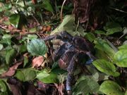 �{�Ó��ό��K�C�h�V�Ԃ̎ʐ^3