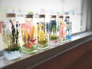 Atelier@Fleur@et@Moi̎ʐ^3