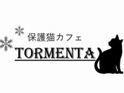 保護猫カフェtormenta 予約 アクセス 割引クーポン じゃらんnet