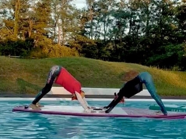 Natural YOGA