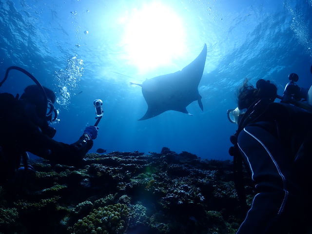 Sea connection�̎ʐ^1