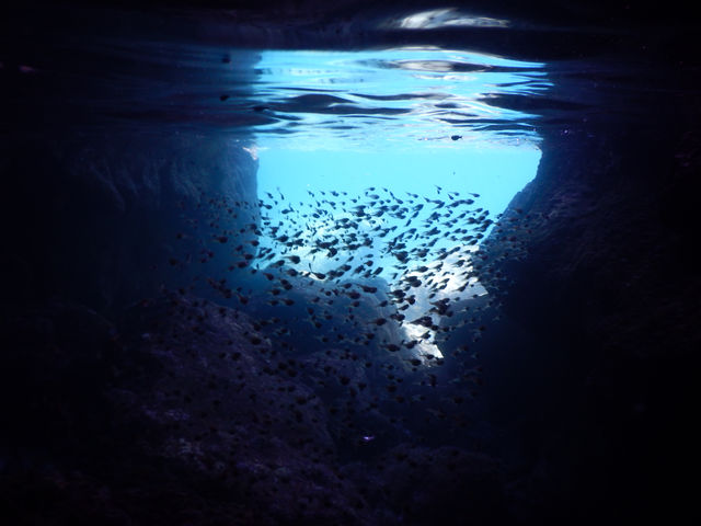 ������Ɗ�����Ă݂�ƁA����Ȑ��E��_�f���܂�&�C�V�� with DiO