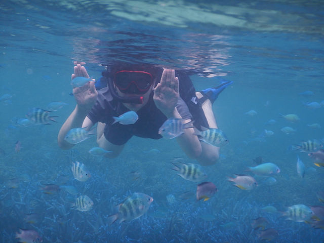 �f���܂�&�C�V�� with DiO