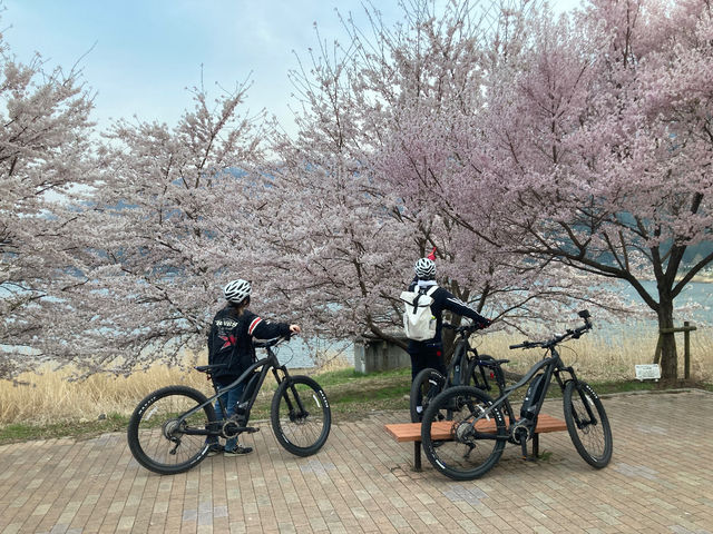 �����J�I�}�E���e���o�C�N(e-bike)�c�A�[_�L���E����