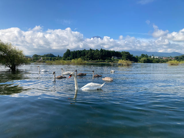 �R�u�n�N�`���E����I�Ղ��Ղ�_�L���E����