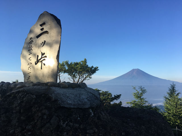 �O���o�R�������߂ł��I_�L���E����