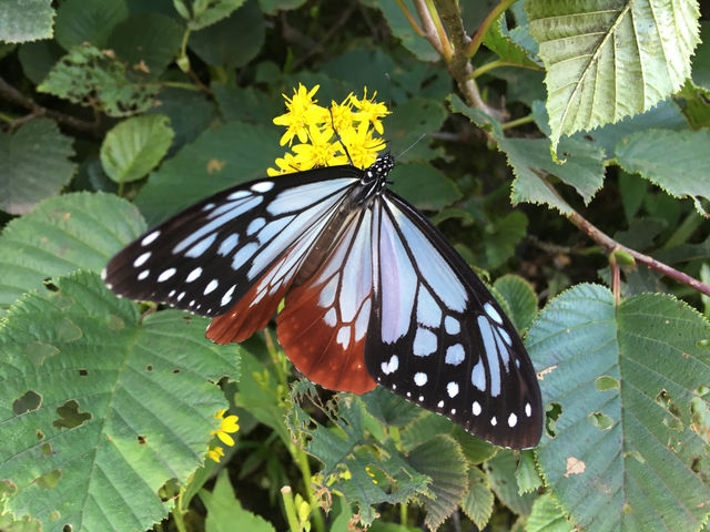 �A�T�M�}�_��_�L���E����