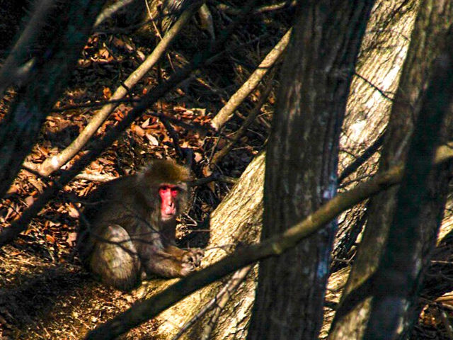 �����[�[�I_�L���E����