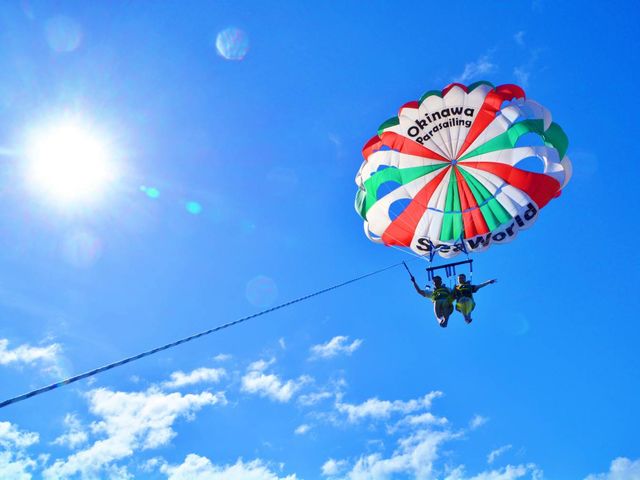 ��2021�N�����񉫓�E�p���Z�[�����O���R�~�����L���O��P�ʁI_SeaWorld�k���X