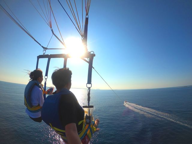 ��2021�N�����񉫓�E�p���Z�[�����O���R�~�����L���O��P�ʁI_SeaWorld�k���X