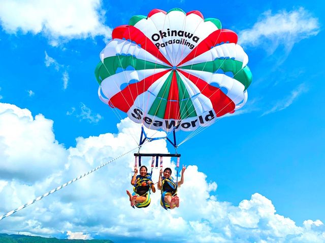 ��2021�N�����񉫓�E�p���Z�[�����O���R�~�����L���O��P�ʁI_SeaWorld�k���X