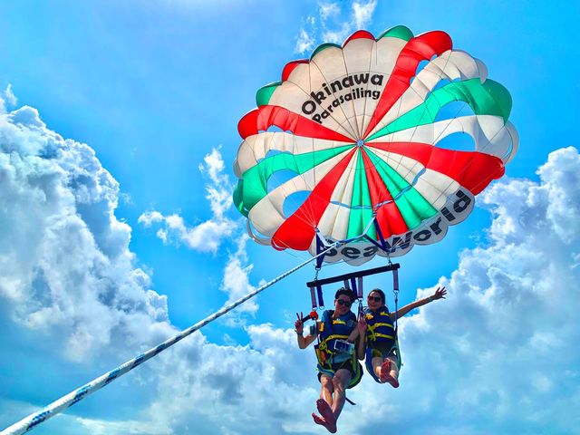 ��2021�N�����񉫓�E�p���Z�[�����O���R�~�����L���O��P�ʁI_SeaWorld�k���X