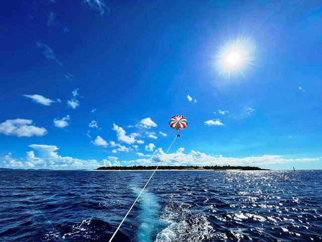 ��2021�N�����񉫓�E�p���Z�[�����O���R�~�����L���O��P�ʁI_SeaWorld�k���X