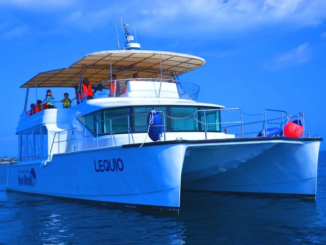 ���D�������S�z�ȕ��ɃI�X�X���̗h��ɋ����D�ōs�����l�����z�G�[���E�H�b�`���O�I_SeaWorld�k���X