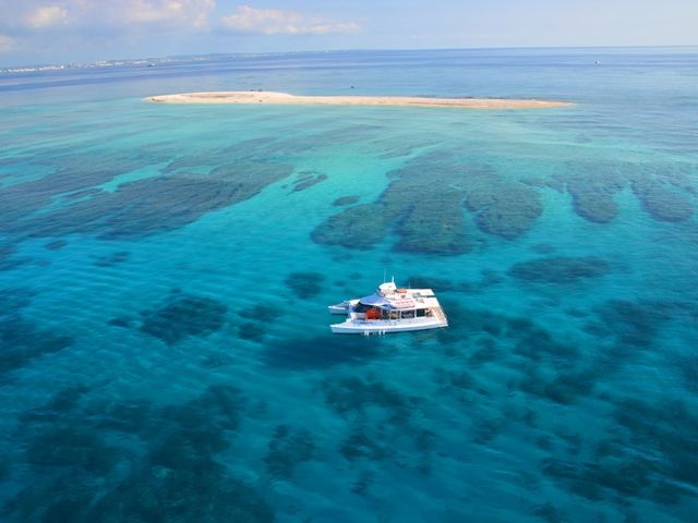 ���܂�����ɋA���Ă��Ă����悤�A�S�����߂ăK�C�h���܂��I_SeaWorld�k���X