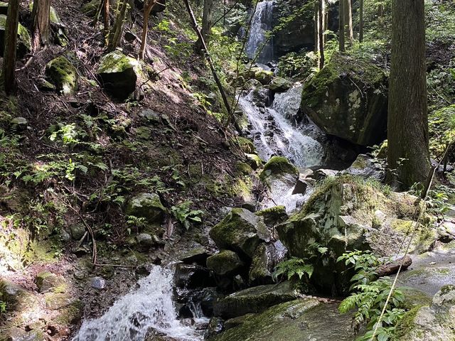 �̌��_�� Granja Deli.