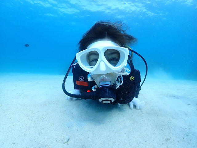 �S�����`���b�v�̌��_�C�r���O_Marine Shop Twins