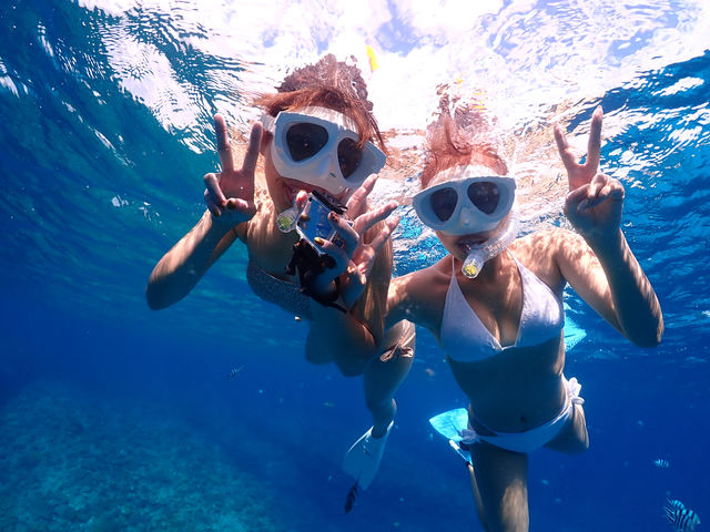 ���[���X�L���_�C�r���O_Marine Shop Twins