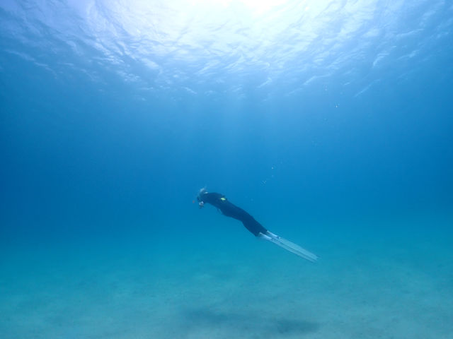 �S�����`���b�v�X�L���_�C�r���O_Marine Shop Twins